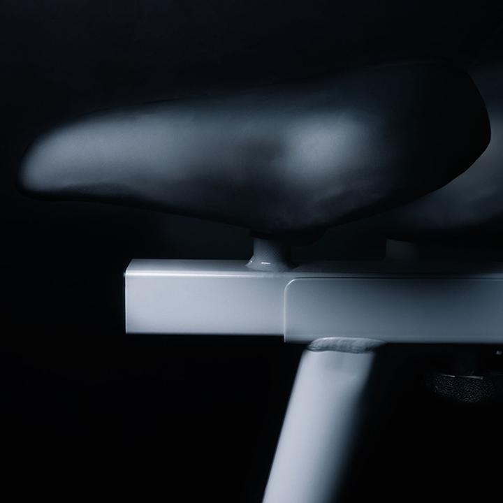 Actual product image Christopeit AL1