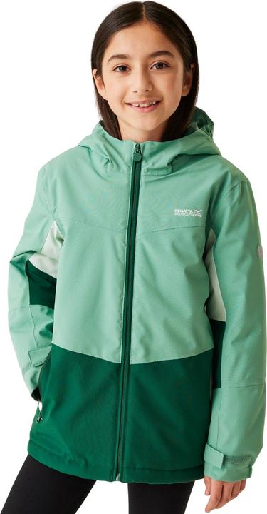 Produktbild Regatta Highton V Steppjacke (158)