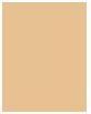 Image du produit Bourjois 123 Parfait (52 Vanille)