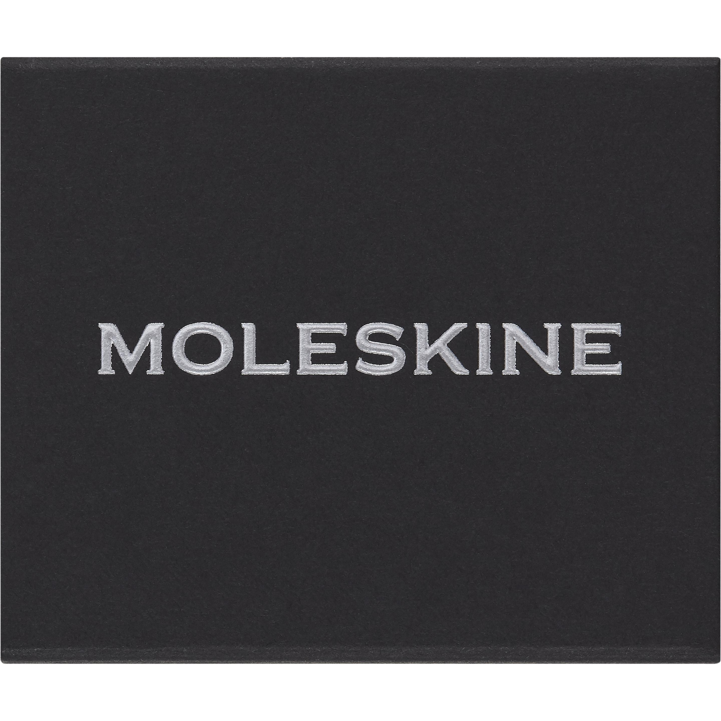 Thumbnail - Moleskine, Heft + Block, Pin Schneeflocke Silber