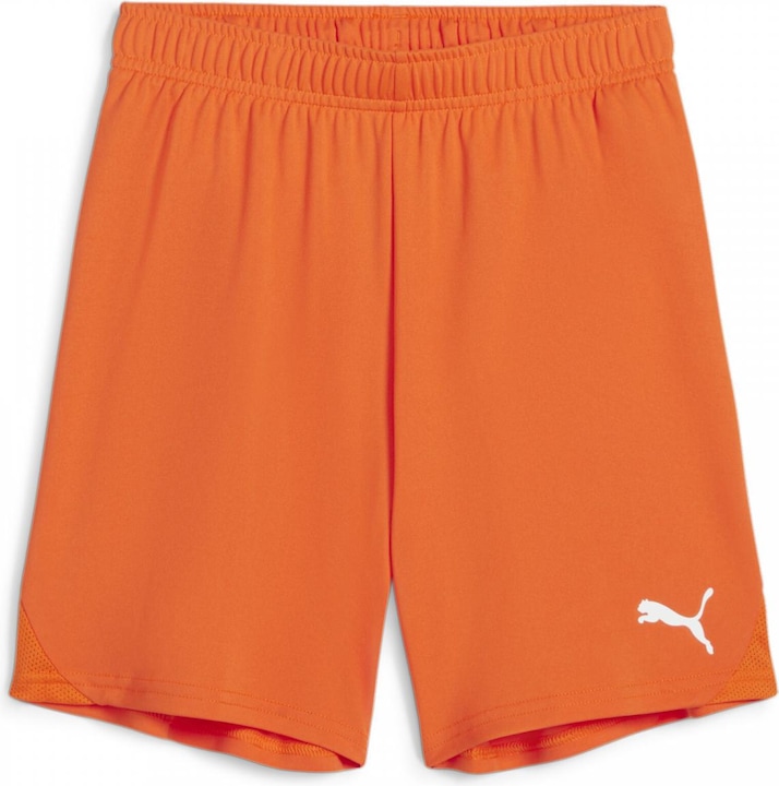 Produktbild Puma teamGOAL Shorts Jr (L)