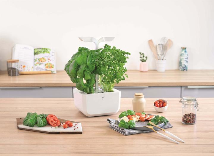 Actual product image Véritable Classic (18.20 cm)