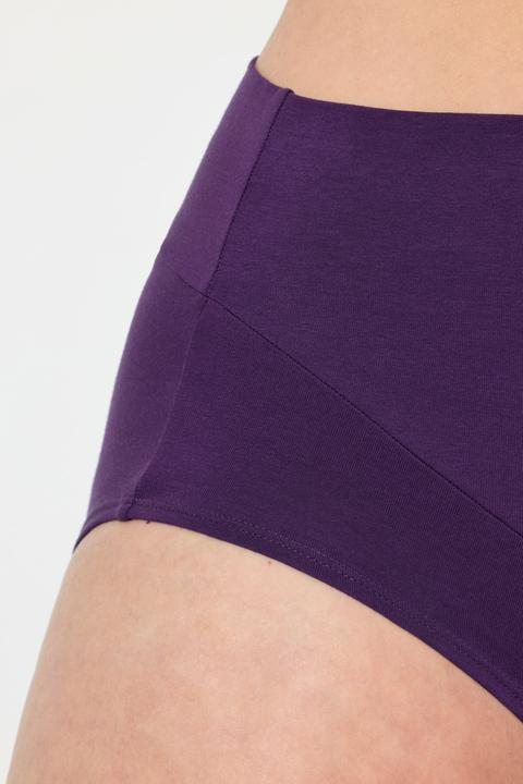 Produktbild Ulla Popken Bellieva-Slip, breites Bündchen, GOTS (68)