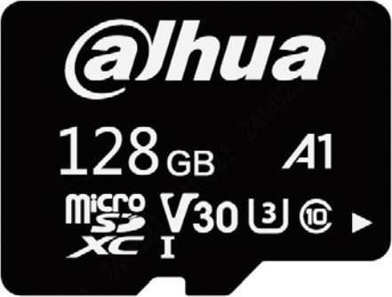 Dahua Carte TF-L100 SDXC 128 Go classe 10 (TF-L100-128GB) (128 Go, SDXC)