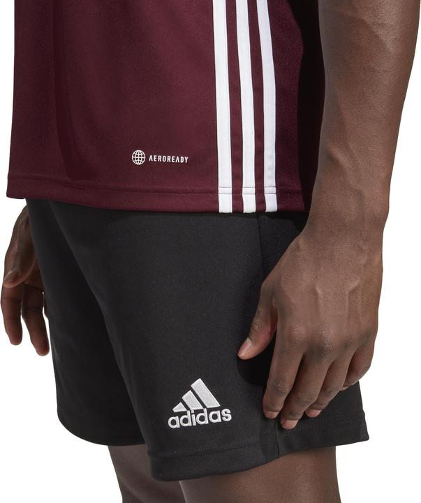 Immagine prodotto adidas Maglia Table 23 Uomo Borgogna IB4928 (XL) (XL)