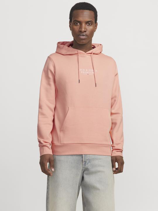 Produktbild Jack & Jones Logo Kapuzenpullover Kapuzenpullover (S)
