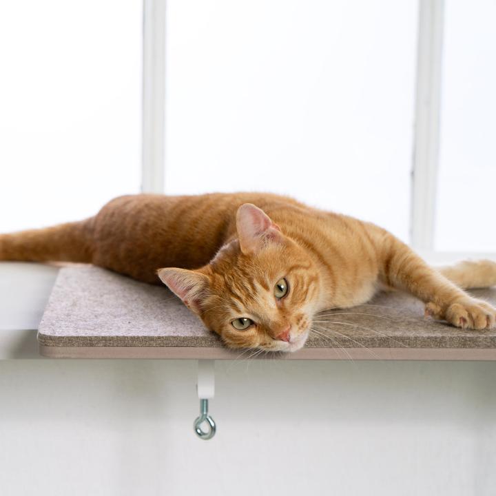 Produktbild LucyBalu View (Katze)