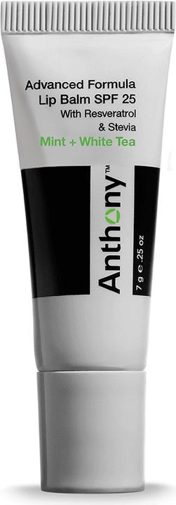 Anthony Lip balm SPF 25 (Lip balm)