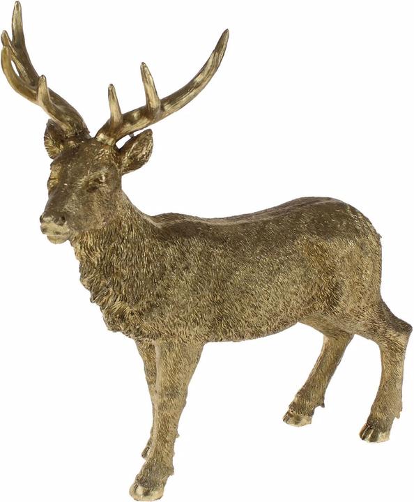 Image du produit Werner Voss Cerf