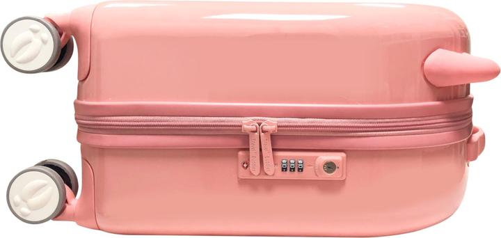 Actual product image Travel Buddies Cochon