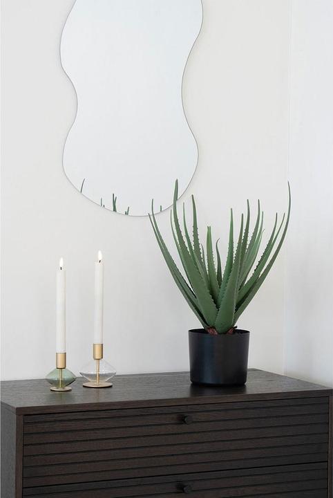 Actual product image House Nordic Aloe (51 cm)