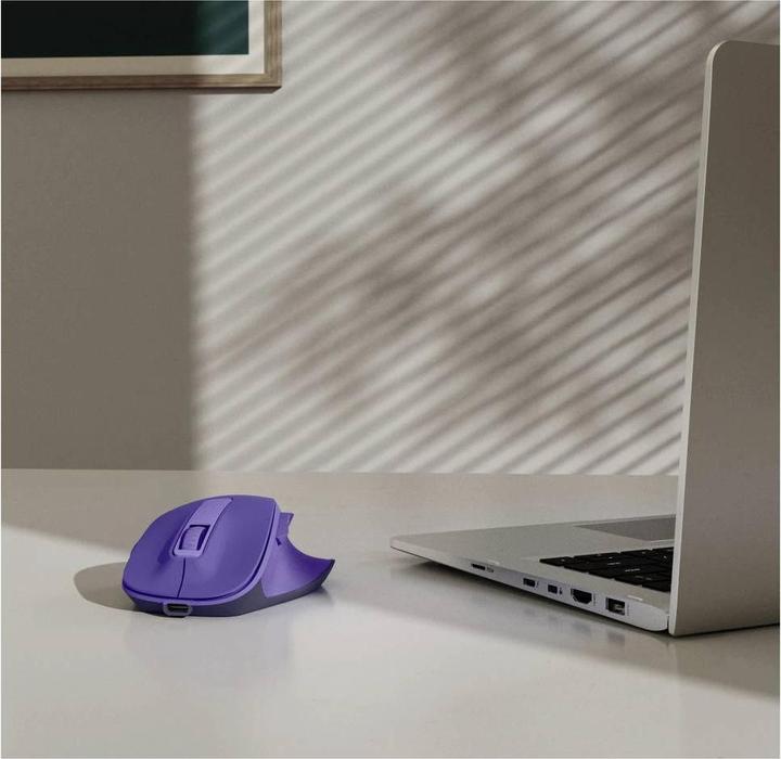 Actual product image Hama WM-500 (Wireless)