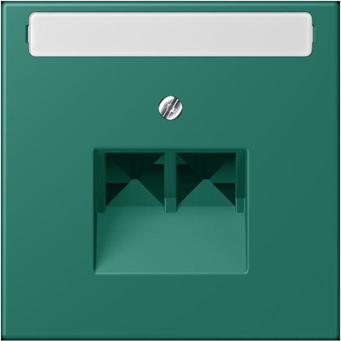 vert anglais (32040)