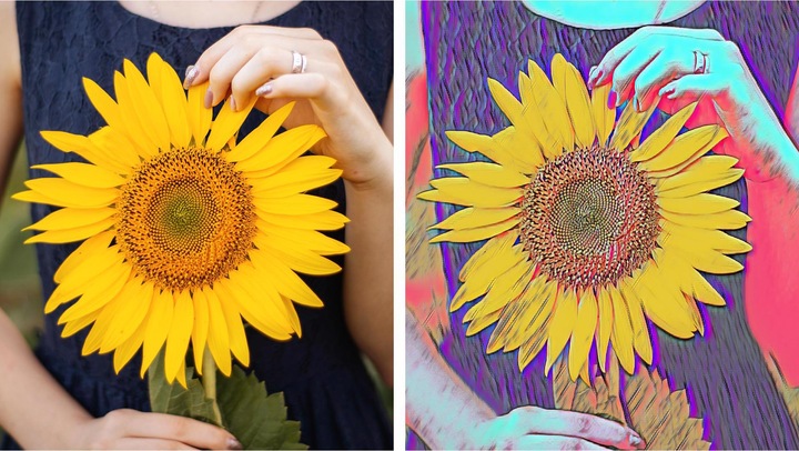 Produktbild Adobe Photoshop & Premiere Elements 2022 (1 User, unbegrenzt)