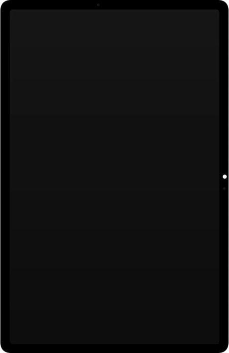 Actual product image Samsung Display SM-X820/X826 Galaxy Tab S10+ (Wi-Fi/5G) GH82-35896A (Display, Samsung Galaxy S10+)