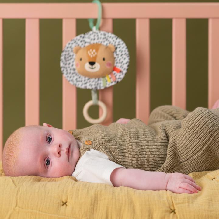 Actual product image Taf Toys Harry the Lion