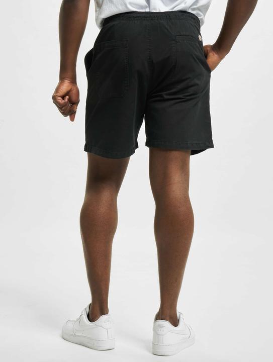 Immagine prodotto Dickies Pantaloncini in tessuto Pelican Rapids - 91859