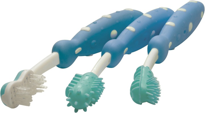 Produktbild Nuby Zahnputztrainer 3er Set (Weich, 1 x)