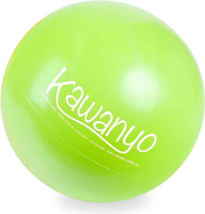 Immagine prodotto Kawanyo Mobility Ball (26 cm)