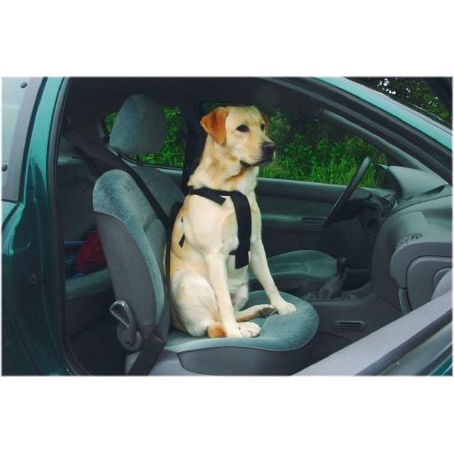 Meilleurs prix pour Beeztees Bz Auto Harnais De Sécurité Hu (Chien), Transport d'animaux