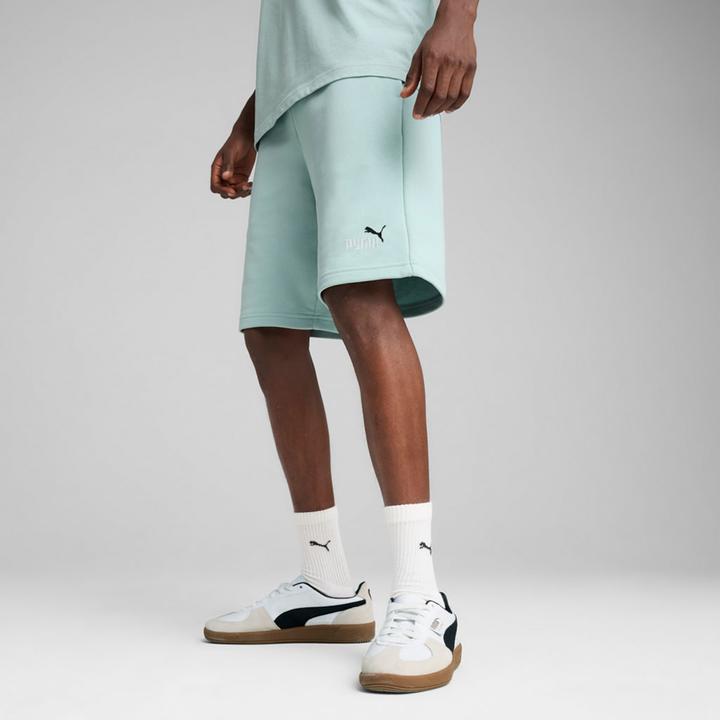Image du produit Puma ESS 2 COLOR No. 1 Logo Shorts 10" TR (XL)