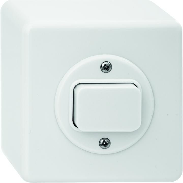 Actual product image Hager BASICO AP switch S3, ws