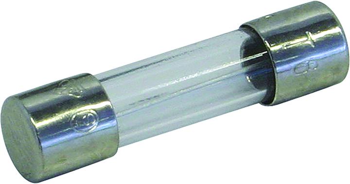 Schurter Fusibile a filo sottile 0.5A slow-blow 10 pezzi (0.50 A)