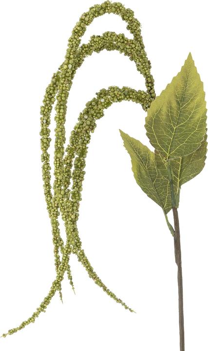 Image du produit Bloomingville Foxtail (107 cm)