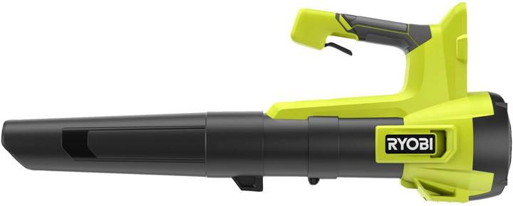 Ryobi Battery leaf blower (Rechargeable battery operated, Leaf blower)