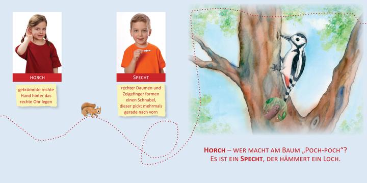Produktbild Mit Babyzeichen die Welt entdecken: Tiere im Wald (Deutsch)