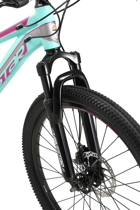 Actual product image Bikestar Hardtail (32 cm)
