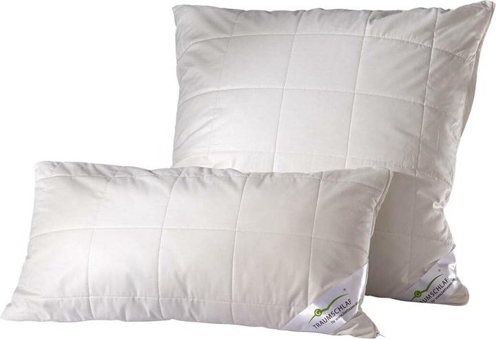 Traumschlaf kbA (65 x 100 cm)