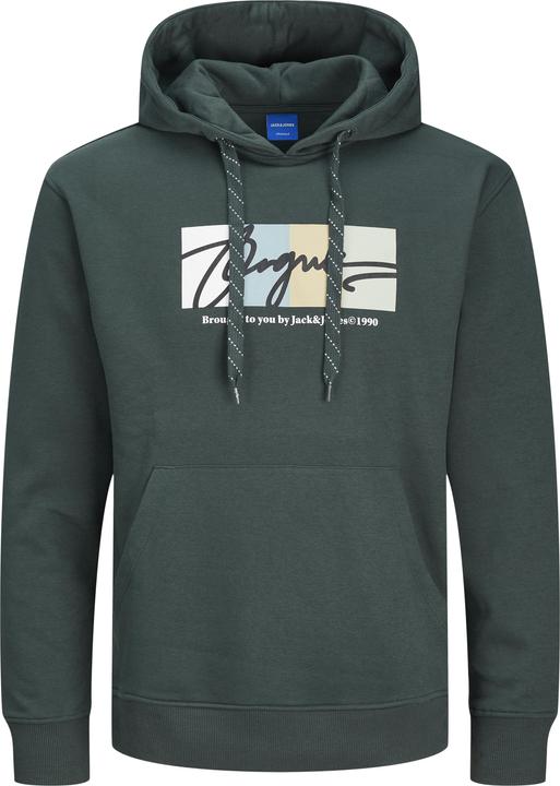 Actual product image Jack & Jones Jorportland Block Sweat Hood Ln (S)