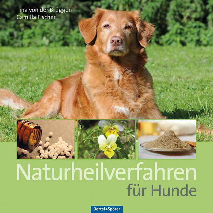 Produktbild Naturheilverfahren für Hunde (Deutsch, Camilla Fischer, Tina von der Brügen, 2015)