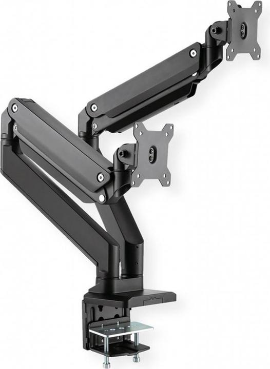 Actual product image Roline LCD dual arm (Table, 15 kg)