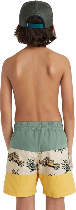 Actual product image O'Neill MIX & MATCH CALI BLOCK 13" SWIM SHORTS (140)
