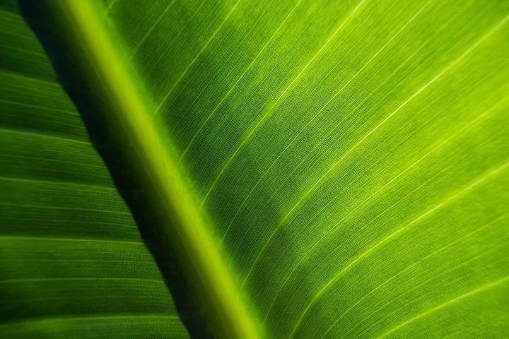 Produktbild Tamron AF 11-20mm f/2.8 Di III-A RXD Fujifilm X (Fujifilm X, APS-C / DX)