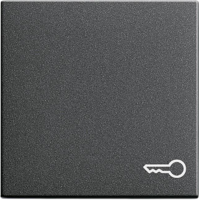 Gira Wippe Symb. Tür System 55 Anthrazit 028728