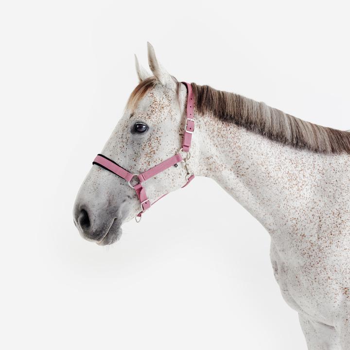 Produktbild Fouganza Halfter Reiten Polypropylen Kunstleder
