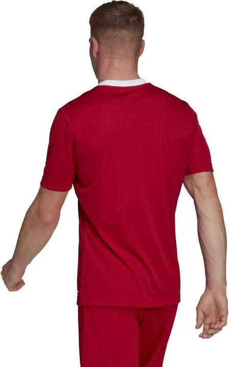 Actual product image Adidas Entrada 22 Football Shirt Men (L)
