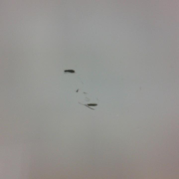 Actual product image Sport-Thieme Puncture Box Pro