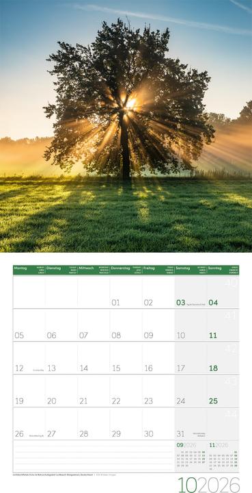 Image du produit Magie des Lichts Kalender 2026 - 30x30 (30 x 30 cm, Couverture rigide, Anglais, Français, Italien)