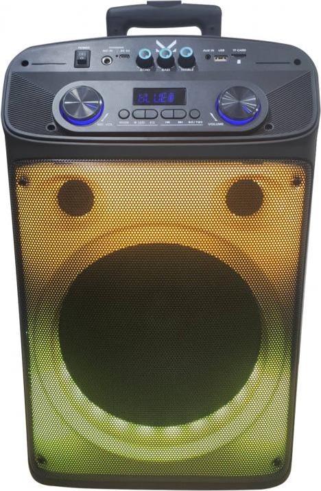 Actual product image Majestic New Flame T55 PA trolley system 40 W Black (4 h)