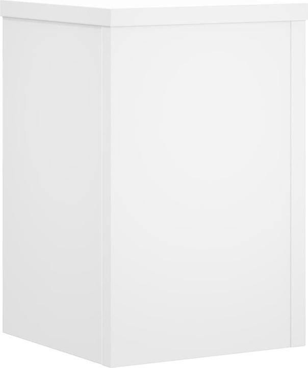 Image du produit vidaXL Supports pour plantes 2 pcs.