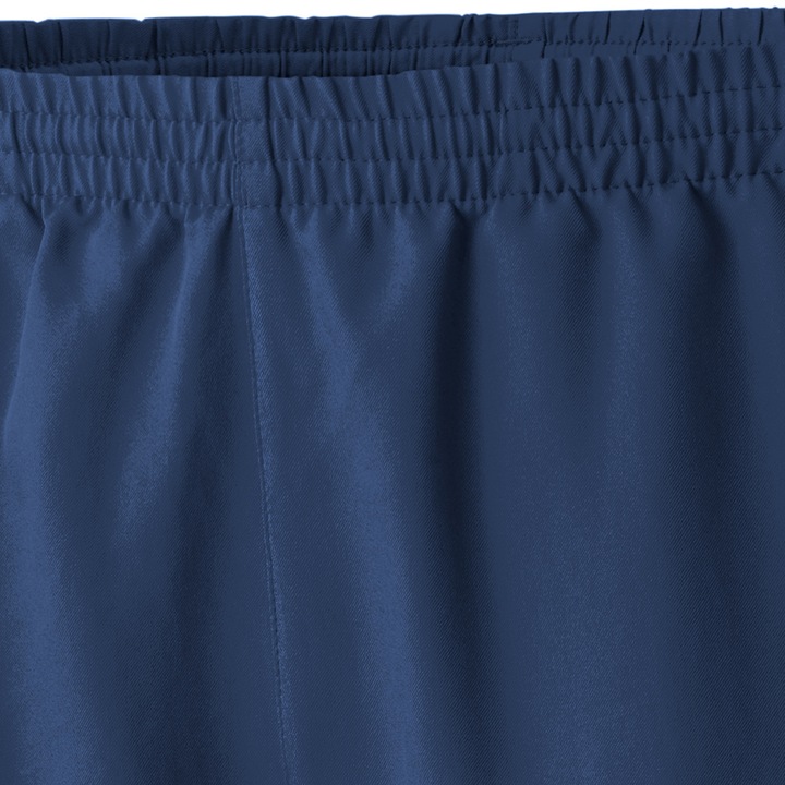 Actual product image Erima Club 1900 Shorts (44)