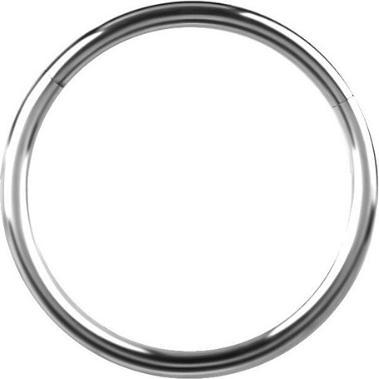 Actual product image Studex Nasenschmuck (Titanium)