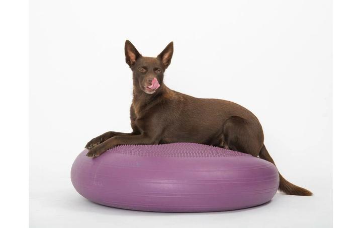 Image du produit Togu Coussin à billes Dynair Extreme
