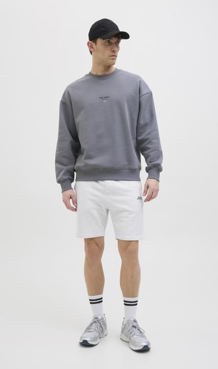 Image du produit Jack & Jones Regular Fit Regular Fit Shorts Regular Fit Shorts (XS)