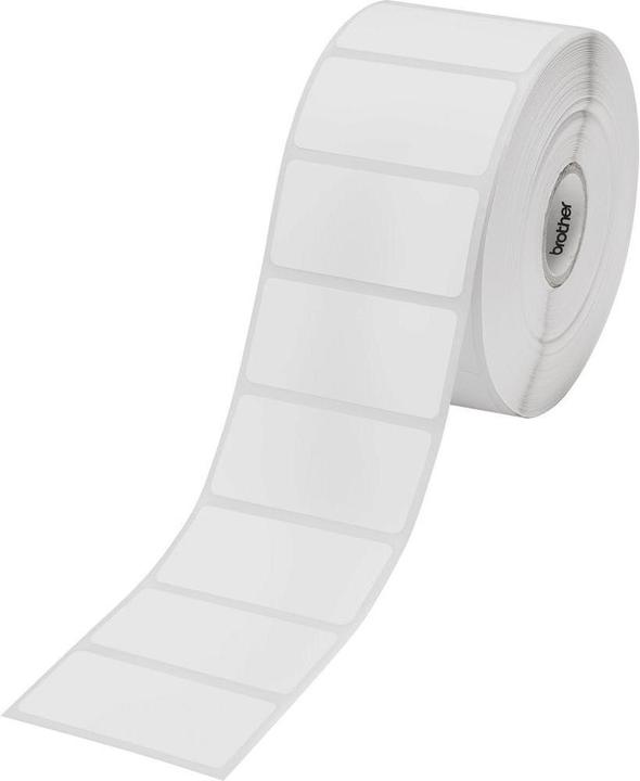 Image du produit Brother RD-S05E1 Étiquettes individuelles (2.60 cm)