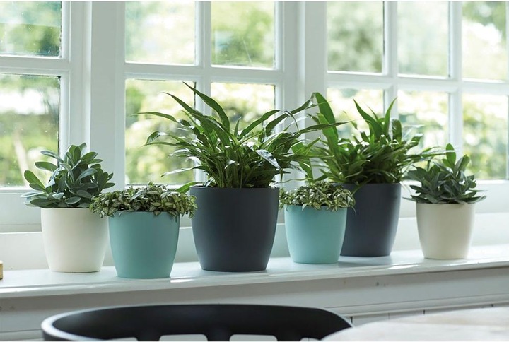 Produktbild Elho Brussels (16 cm)